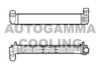AUTOGAMMA 105292 Intercooler, charger
